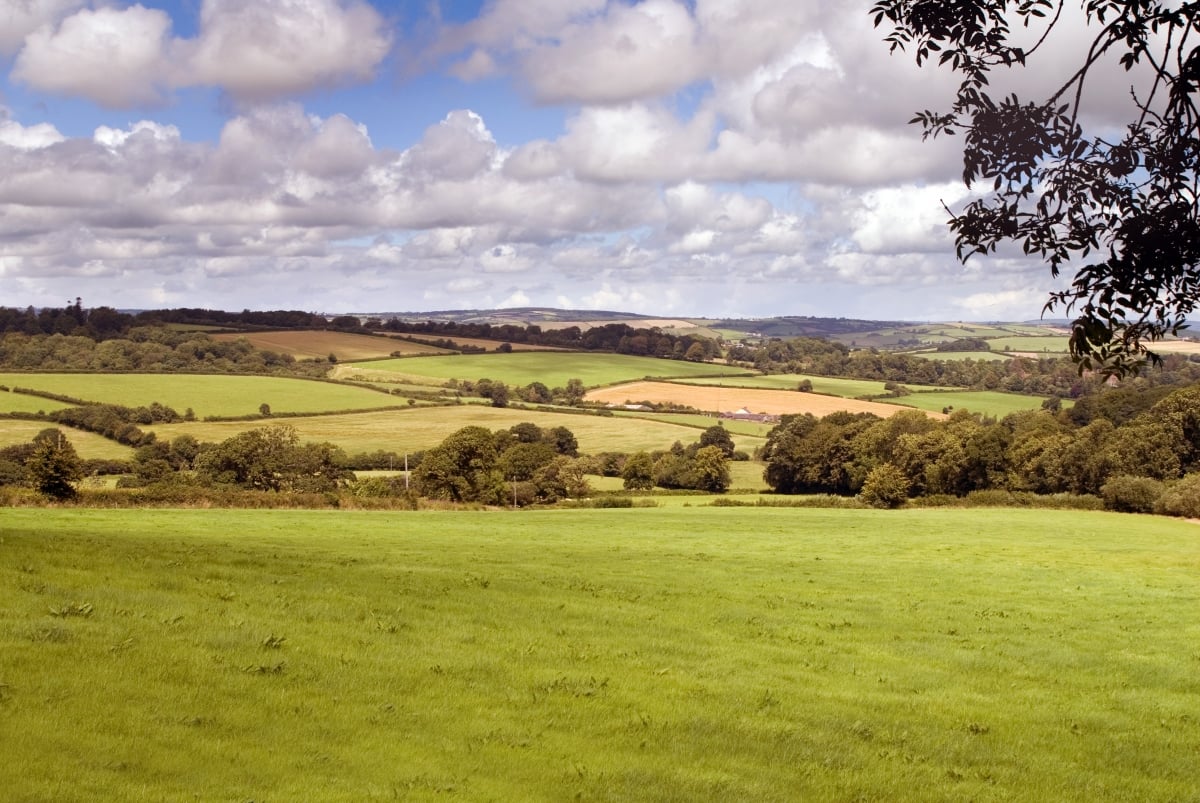 View from the Smithy garden